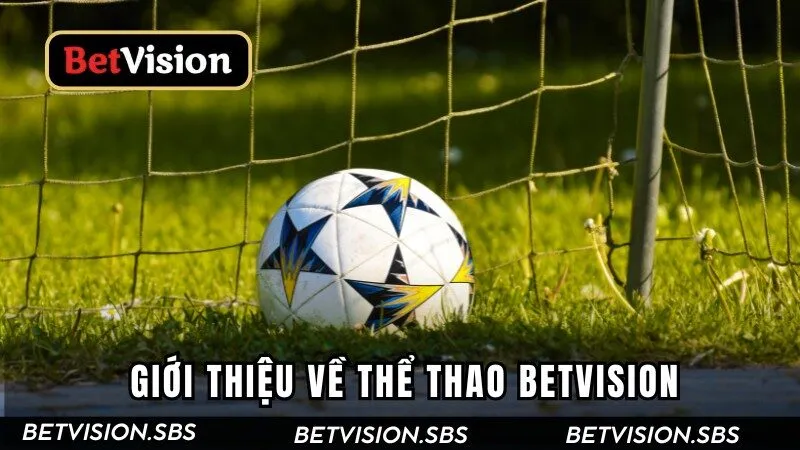 Giới thiệu về thể thao Betvision